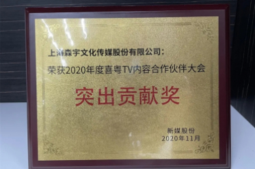 喜粤TV突出贡献奖